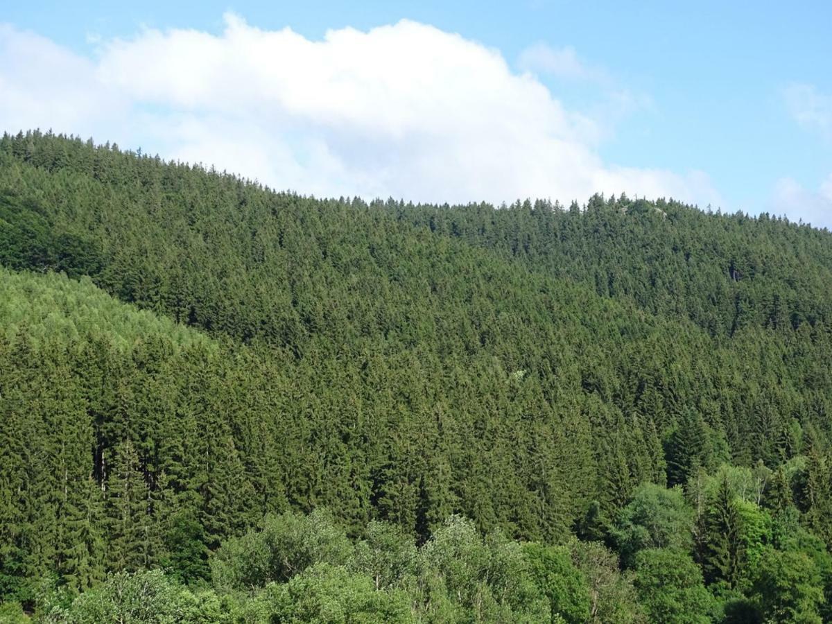 Ferienwohnung Am Berggrabenweg Ильменау Экстерьер фото
