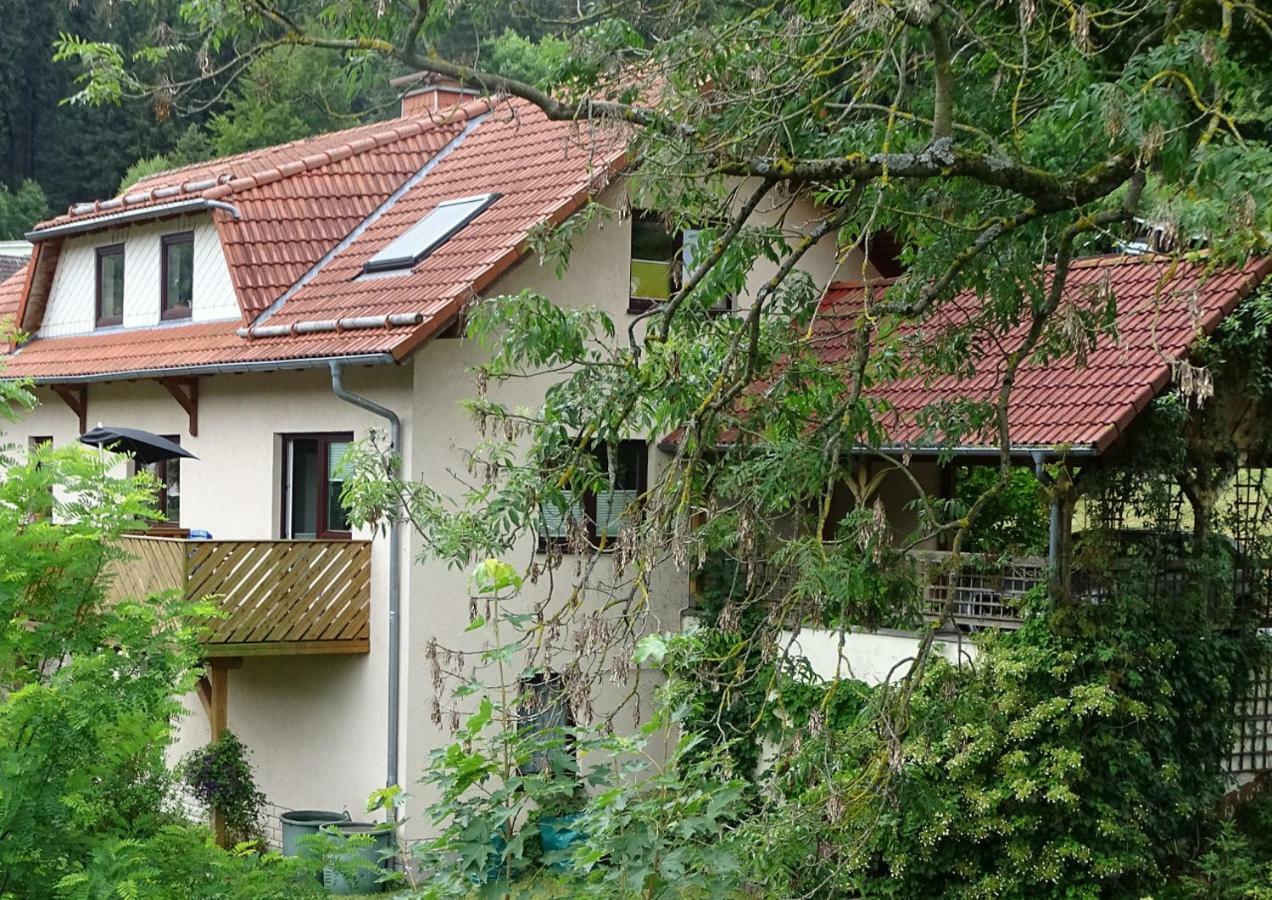 Ferienwohnung Am Berggrabenweg Ильменау Экстерьер фото